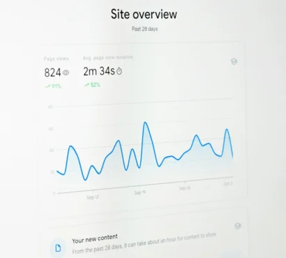 WordPress Speed Optimization